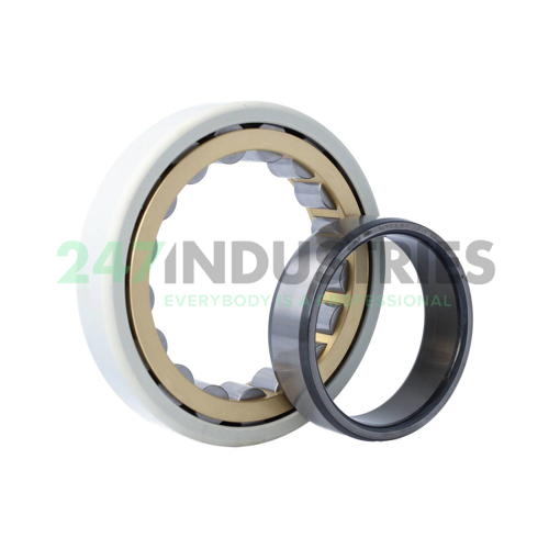 NU219-E-XL-M1-F1-J20AA-C3 FAG Image 3