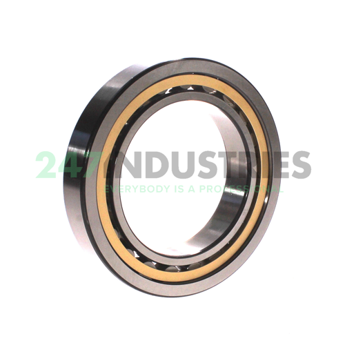 NU1018M/C4VA301 SKF Image 2