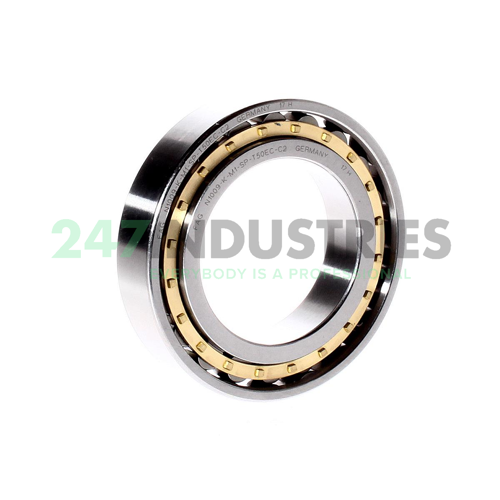 N1009-K-M1-SP-T50EC-C2 FAG