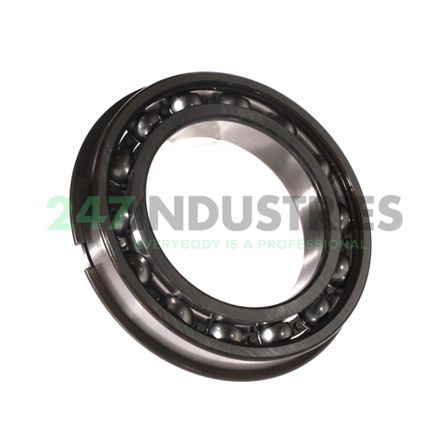 6018NR SKF Image 2