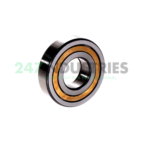 NUP307-E-XL-M1 FAG Image 2