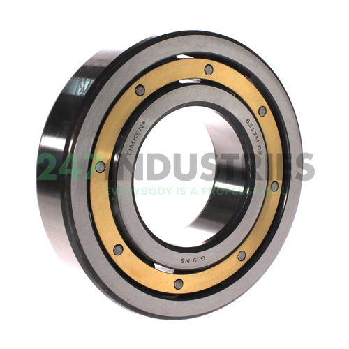 6317M-C3 Timken