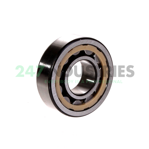 NU204ECPHA/C3 SKF Image 3