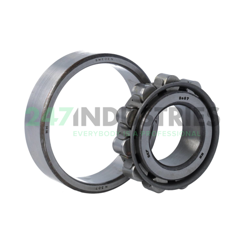 N307 SKF Image 3