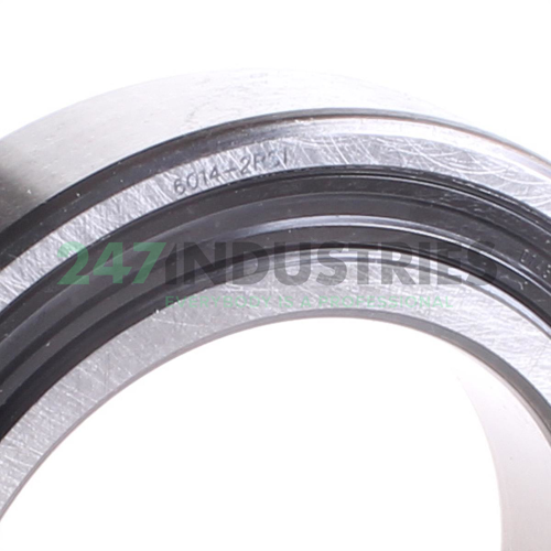 6014-2RS1 SKF Image 3