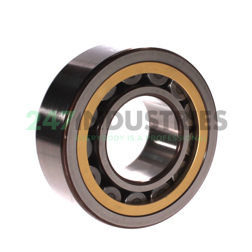 NJ2313ECML/C3 SKF Image 2