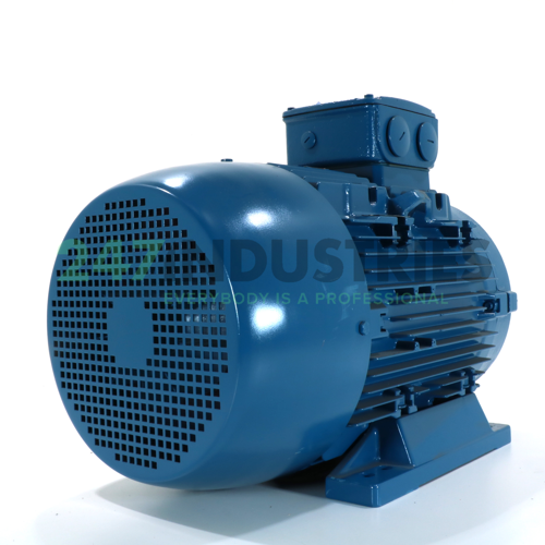 11K32AL3160M/L2B3 WEG Image 3