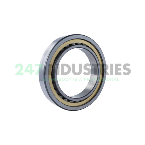 NU1026-XL-M1A FAG Image 2