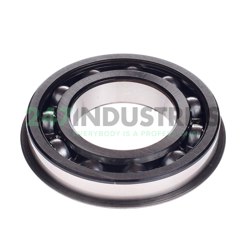 6213-ZNR SKF Image 2