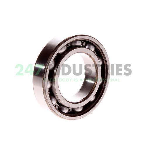 6007-RS1 SKF Image 2
