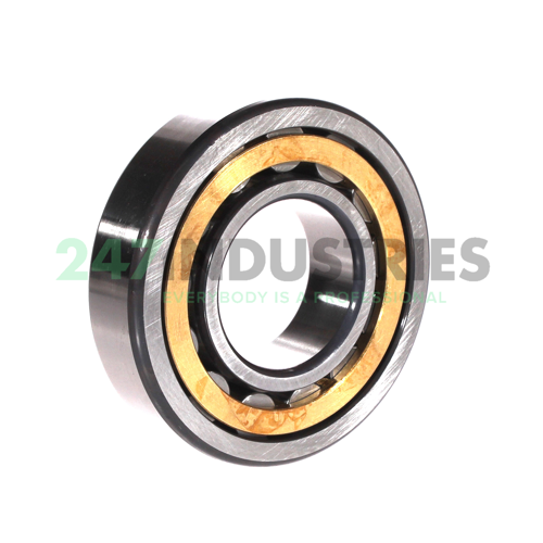 NU310-E-XL-M1 FAG Image 2