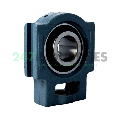 UCTX08-24 Asahi Image 3