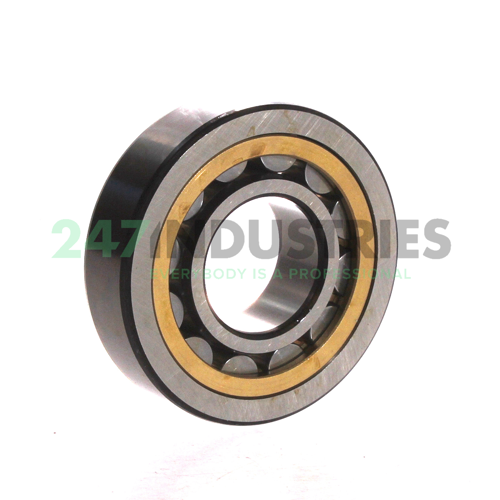 NU306ECML/C3B20 SKF Image 2