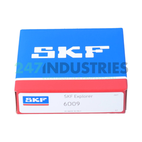 6009 SKF Image 3