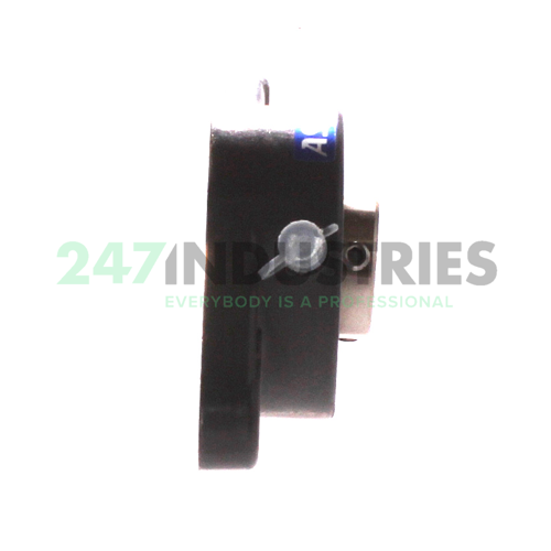 MUCD204 Asahi Image 2