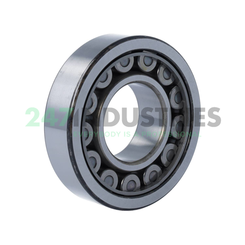 NU309EWC3 NSK Image 2