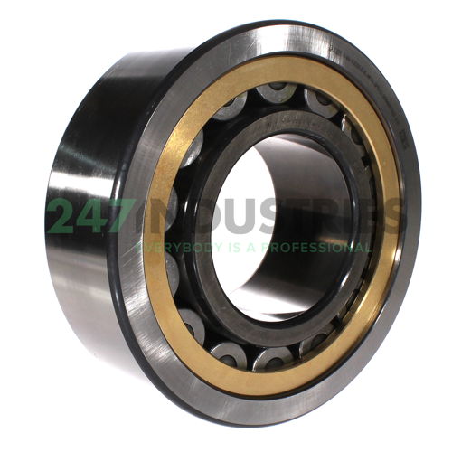 NJ2322-E-XL-MPAX-QP51-C4 FAG