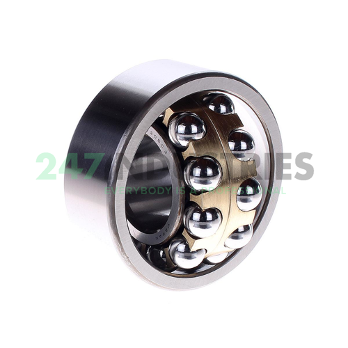 2306M C3 NSK Image 2