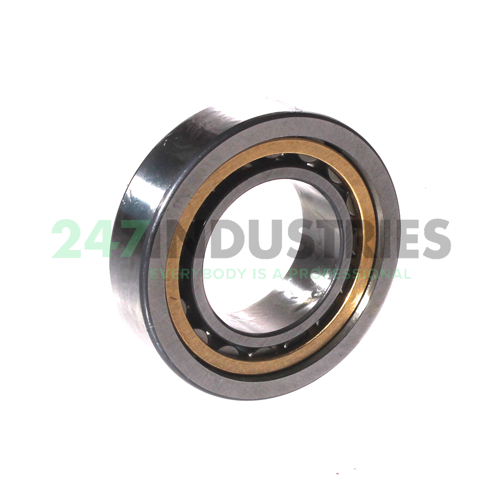 NU1005-XL-M1 FAG Image 2