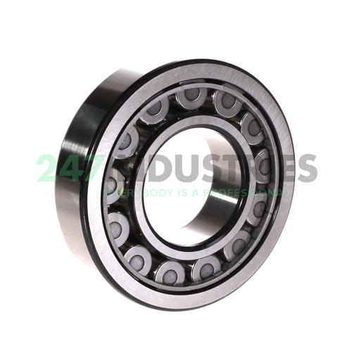 NU311ECJ/C3 SKF Image 2