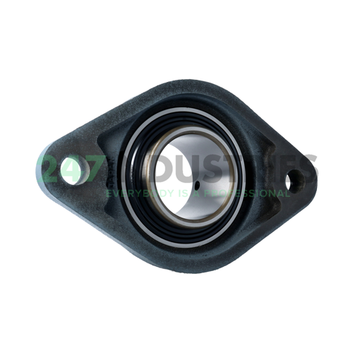 UCFL216 Asahi Image 2