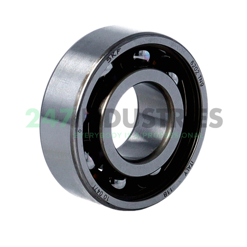6202TN9 SKF