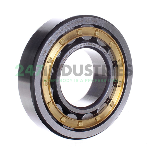 NJ313-E-XL-M1-C3 FAG