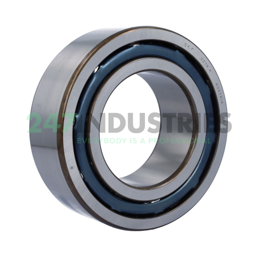 3219A SKF