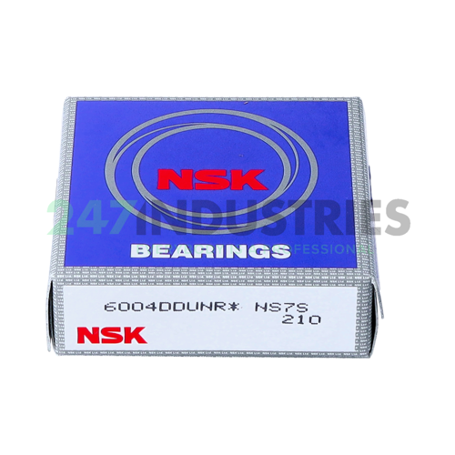 6004DDUNR NSK Image 3