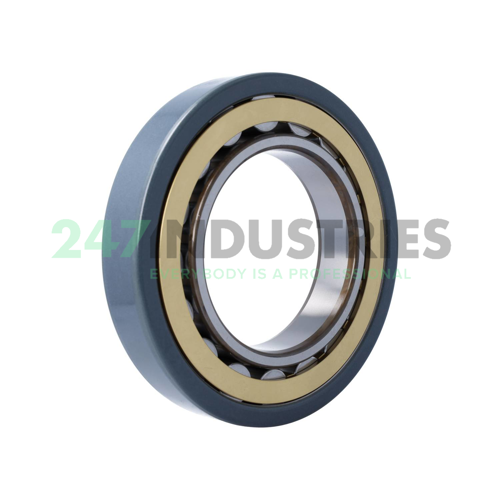 NU226ECM/C3VL0241 SKF Image 2