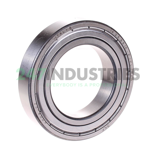 6009-2Z SKF Image 2