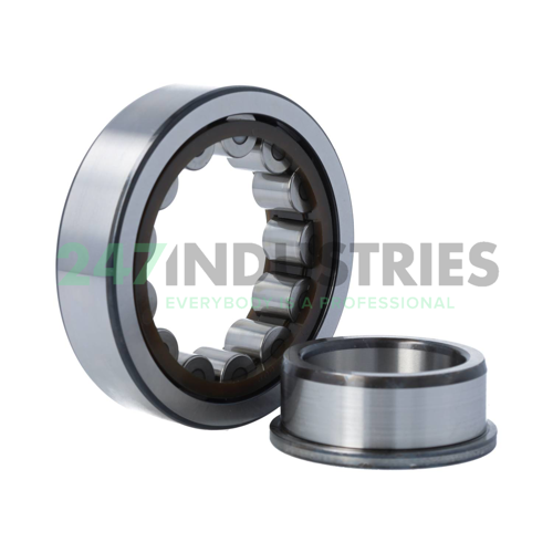 NJ309ECP/C4 SKF Image 4