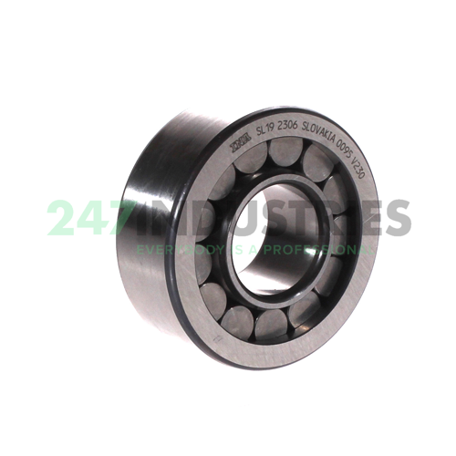 SL192306 INA