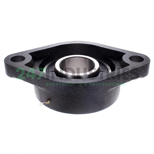 UCFL319 Felstrom Image 2