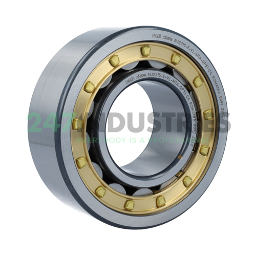 NJ2315-E-XL-M1A-QP51-C4 FAG