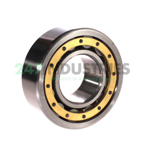 NU2313EM URB Image 2