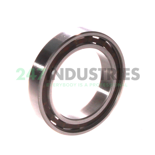 61805TN9 SKF