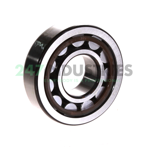 NJ305ECP/C3 SKF Image 2