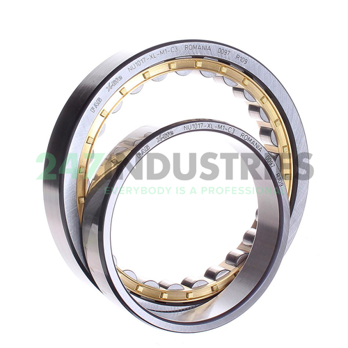 NU1017-XL-M1-C3 FAG Image 3