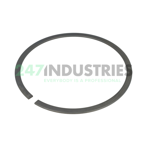 RG DIN5417-SP 190 FAG