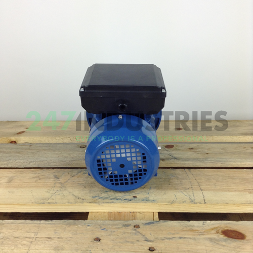 ML8024B35 Gibbons Image 5