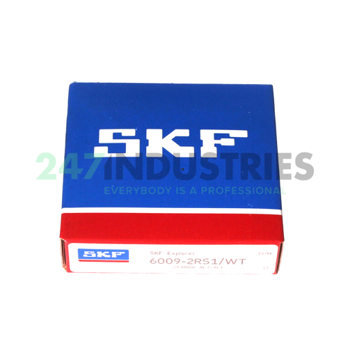 6009-2RS1/WT SKF Image 2