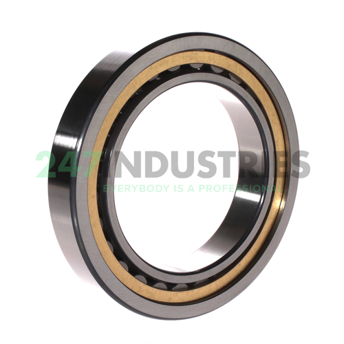 NU1019-XL-M1A-C3 FAG Image 2