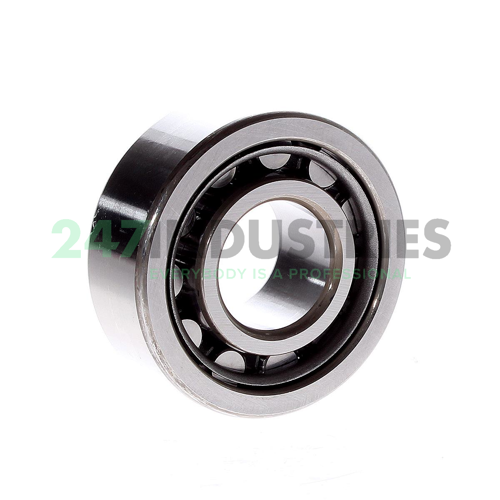 NU2306W NSK Image 3