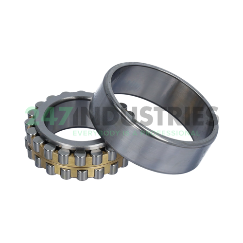 NN3007/SP SKF Image 2
