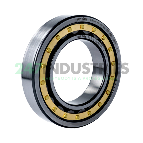 NJ215-E-XL-M1-C3 FAG