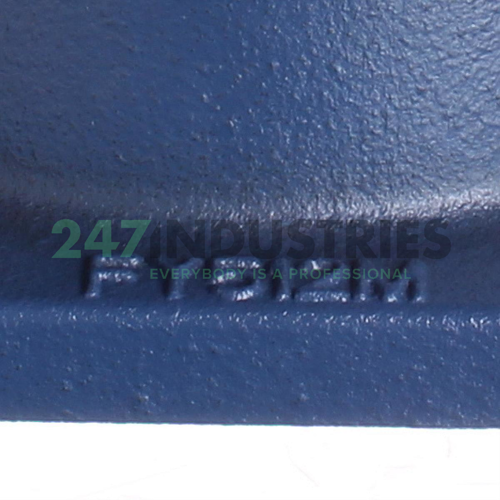 FY60FM SKF Image 2