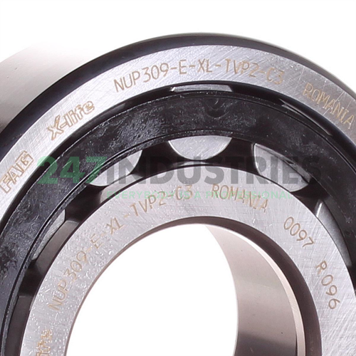 NUP309-E-XL-TVP2-C3 FAG Image 2