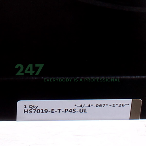 HS7019-E-T-P4S-UL FAG Image 3