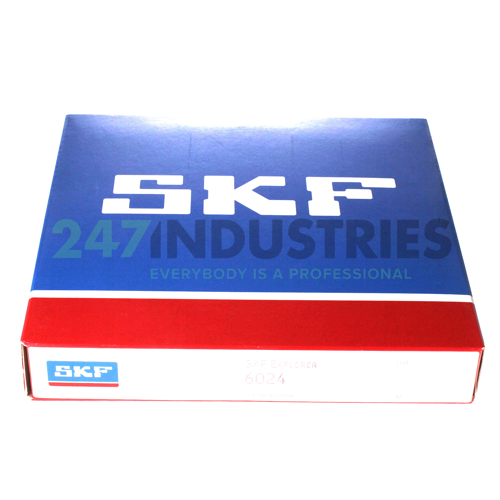 6024 SKF Image 3
